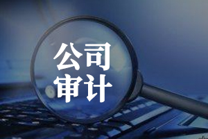 審計(jì) 審計(jì)