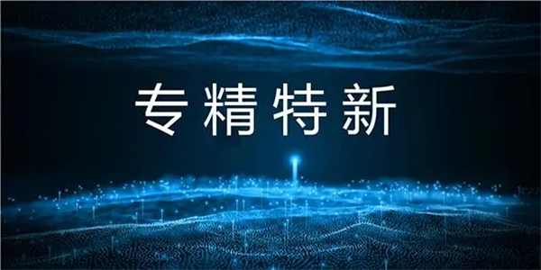 專(zhuān)精特新企業(yè)的主要特征有哪些？