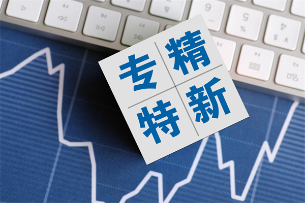 專(zhuān)精特新企業(yè)的主要特征有哪些？